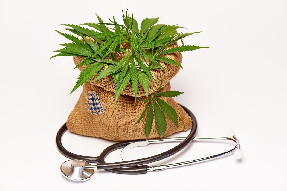 Nyt selskab skal skære patientpriser på medicinsk cannabis med 40%