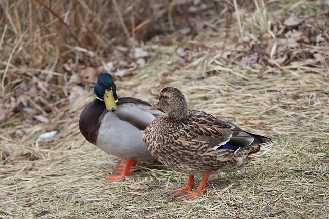 Ord på tværs: Hemmelighederne bag de bedste krydsordsløsere post thumbnail image